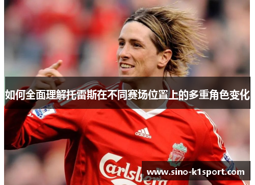 如何全面理解托雷斯在不同赛场位置上的多重角色变化