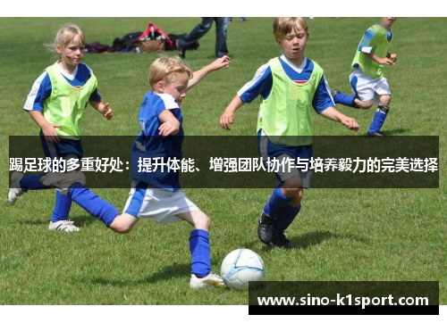 踢足球的多重好处：提升体能、增强团队协作与培养毅力的完美选择