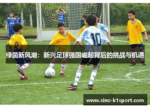 绿茵新风潮：新兴足球强国崛起背后的挑战与机遇